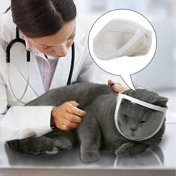 Transparent Cat Face Mask Cat Muzzle