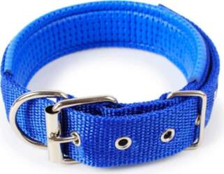 Webbing Collar For Large Dogs Thick