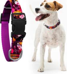 Adjustable collar for medium dog Marigold