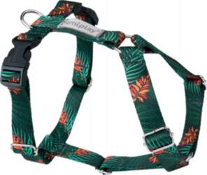 Amiplay BeHappy - Guard Jungle adjustable