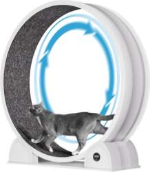 Cat Exercise Wheel, Smart Pedometer, Removable