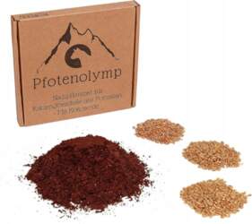 Cat Grass DIY Grass Sowing Kit