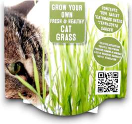 Cat Grass Seed Growing Kit Terracotta