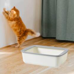 Cat Litter Tray Open Top Potty