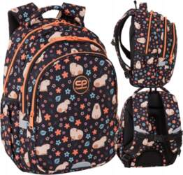 Coolpack Two compartment backpack for Classes