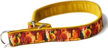 Dog collar AUTUMN FOREST 2cm adjustable