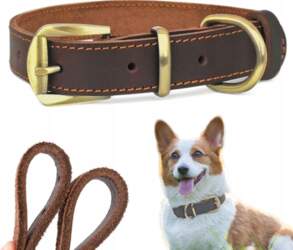 Dog Collar Leather M