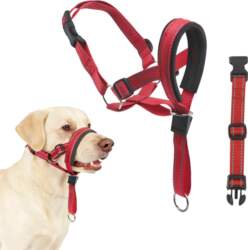 DOG HEAD HALTER L ADJUSTABLE REFLECTIVE