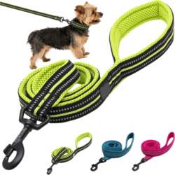 DOG LEASH CAT training soft reflective