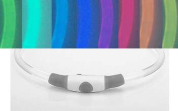 GLOWING DOG COLLAR LED MULTICOLOR USB
