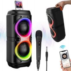 KARAOKE SPEAKER 2 MICROPHONES USB MINI