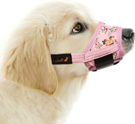 Kwiatek COMFORTABLE MUZZLE FOR DOG PATTERN