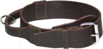 Leather collar with handle for dog