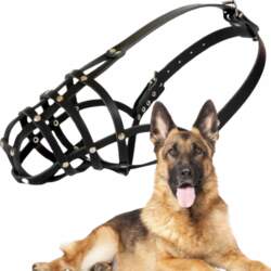 Muzzle for dog, DINGO LEATHER RIVETED