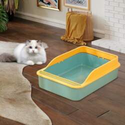 Open Top Box with High Side