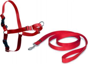PetSafe Easy Walk Harness Red S
