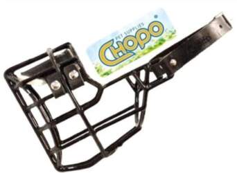 Physiological muzzle Chopo Schnauzer Medium Bitch