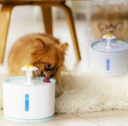 QUIET DOG CAT DRINKER AUTOMATIC FOUNTAIN