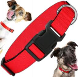SOLID COLLAR FOR DOG STRONG ADJUSTABLE