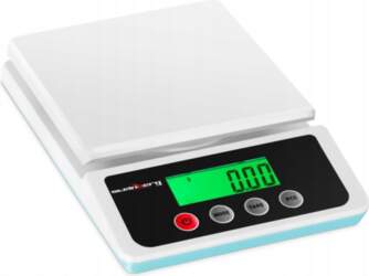 Steinberg Systems Precision Laboratory Scale Accurate