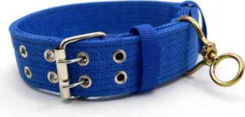 Webbing Collar For Dog Width 4