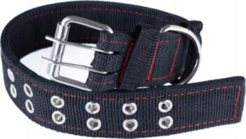 Webbing Collar For Large Dogs Thick
