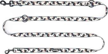 Adjustable leash for dog | 4Funky
