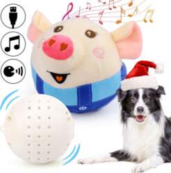 BALL TOY DURABLE INTERACTIVE CAT DOG