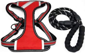 Bubu Pets BUBU Dog Harness Set