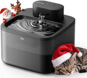 CAT FOUNTAIN 2,2L WIRELESS LED