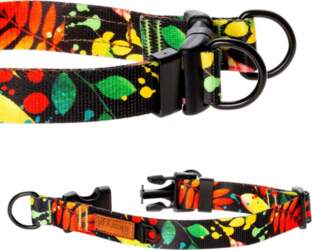 COLLAR for large dog MATERIAL double