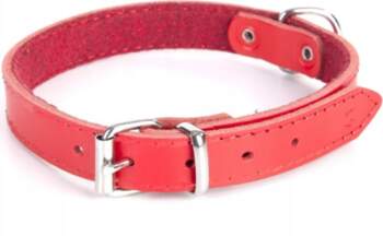 Dingo Leather Collar Felt Lined 3