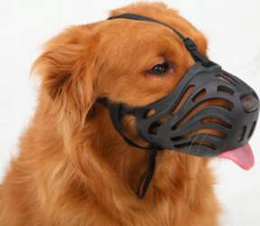 Dog muzzle, soft silicone muzzle against