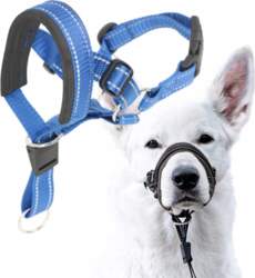 DOG MUZZLE TRAINING AGAINST PULLING ON