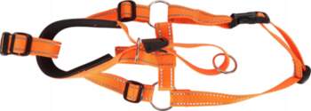 Dog`s head Kantar muzzle, gow collar