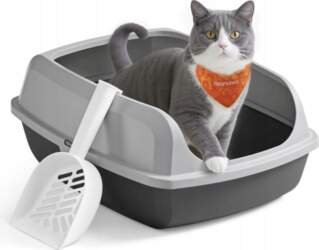 Feandrea Cat litter box open with