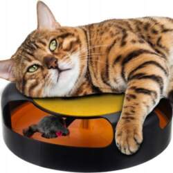 INTERACTIVE CAT TOY CIRCLE WITH MOVING