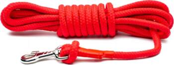 Lanyard Training Rope for Dog Chaba
