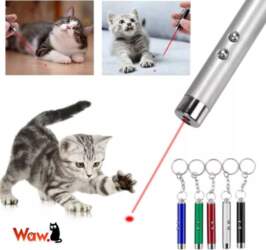 Mini Laser 3in1 with Flashlight Presentation