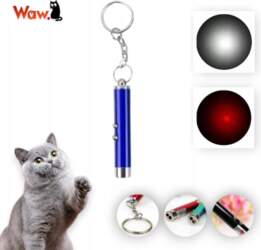 Mini Laser 3in1 with Flashlight Presentation
