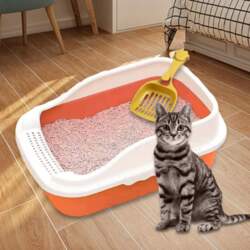 Open Top Cat Litter Box with