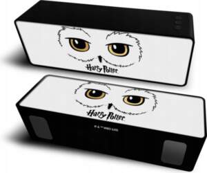 PORTABLE WIRELESS SPEAKER 10W 2.1
