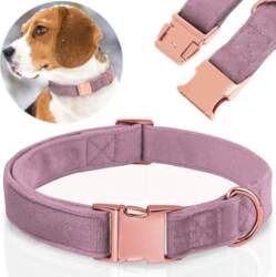 Reverse SOLID VELVET DOG COLLAR, ADJUSTABLE