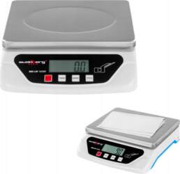 Steinberg Systems PRECISION MAIL SCALE FOR