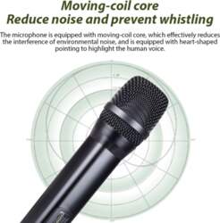 Wireless Microphone System with Handheld Microphones