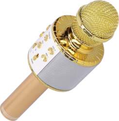 Wireless Microphone with Bluetooth Speaker and