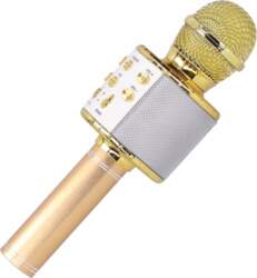 Wireless Microphone with Bluetooth Speaker and