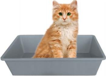 Zolux SOLID LITTER BOX OPEN LITTER