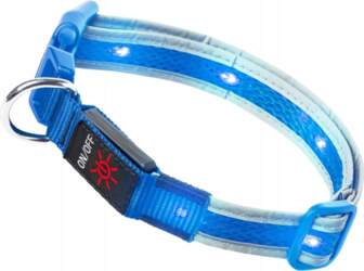 Amazon DOG COLLAR LED BLUE GLOWING