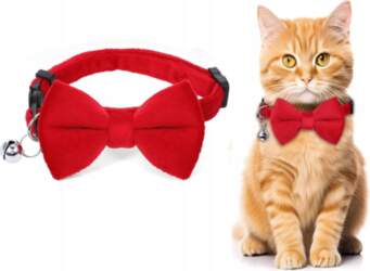 Cat Collar With Bow Tinker Bell